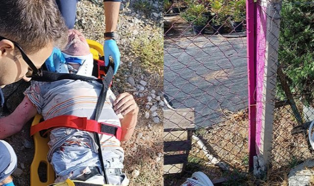 Kuşburnu toplamak için evden çıktı, bir gün sonra tel örgülere takılı, yaralı bulundu