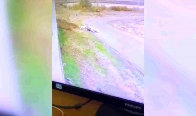 Başkentte bisiklet süren çocuğa köpek saldırdı