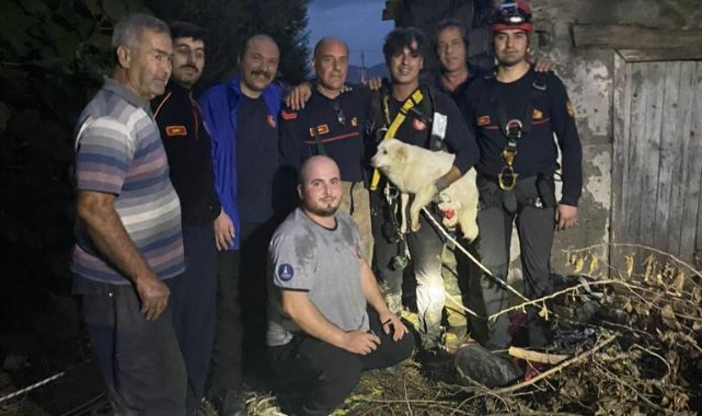 Bir aydır kayıp olan Pamuk’u İzmir İtfaiyesi sahibine kavuşturdu