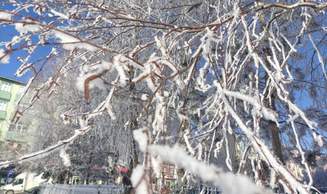 Ardahan’da dondurucu soğuklar: Göle eksi 32 derece