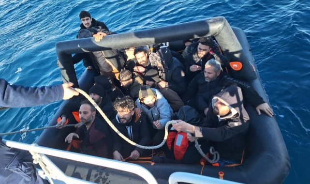 İzmir sularında göçmen hareketliliği