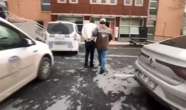 Başakşehir’de kediyi tekmeleyerek öldüren sanık yeniden yargılanacak