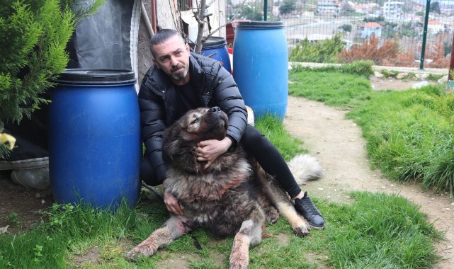 Çalamadığı köpeği pompalı tüfekle vurdu
