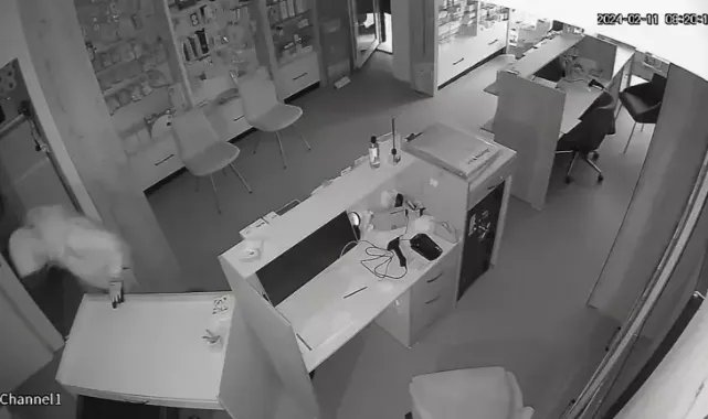 Esenler'de çalmaya çalıştığı kasanın altında kaldı; hırsızı arkadaşları kurtardı