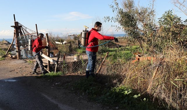 Menderes’te Larva Mücadelesi