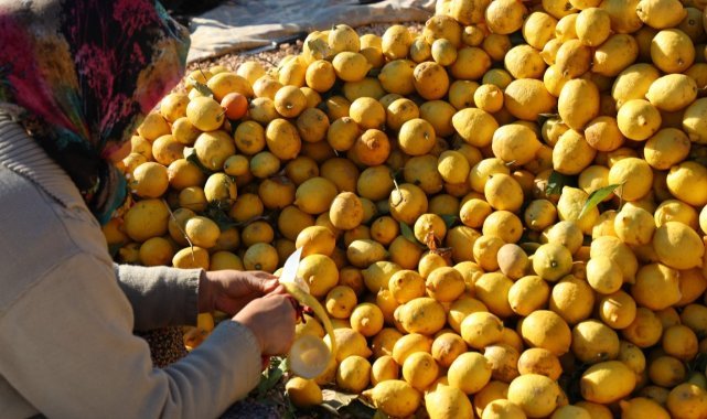 Meyvesi yüz güldürmedi kabuğu altın oldu