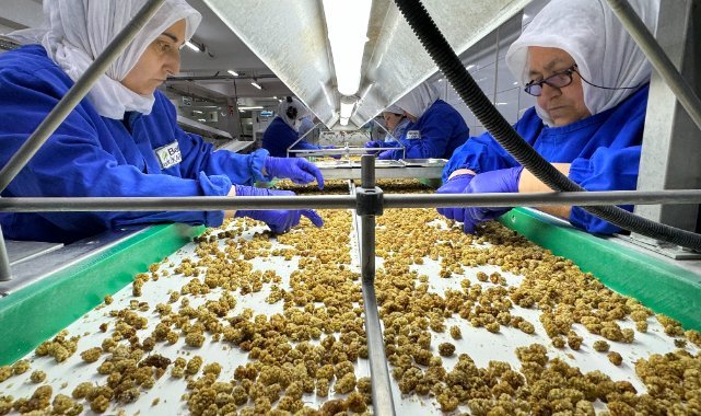 Türkiye organik ürün ihracatında 1 milyar dolar sınırını aştı
