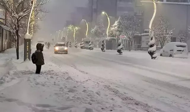Van'ın 3 ilçesinde okullara kar tatili
