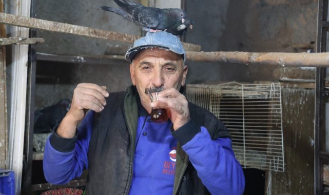 40 yıldır kumrularla çocuk gibi ilgileniyor