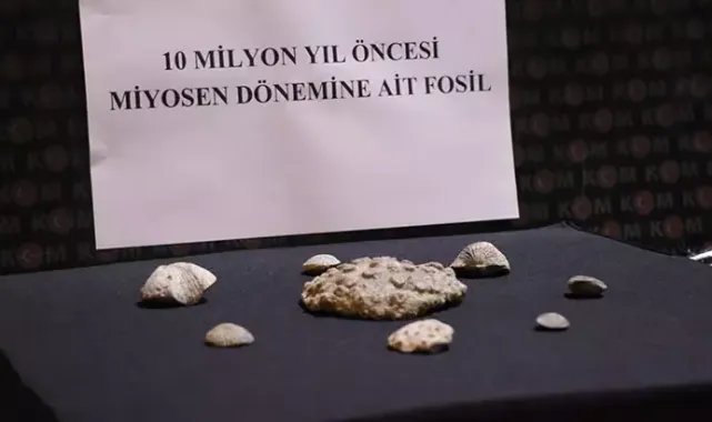 Kayseri'de 10 milyon yıllık fosil ele geçirildi