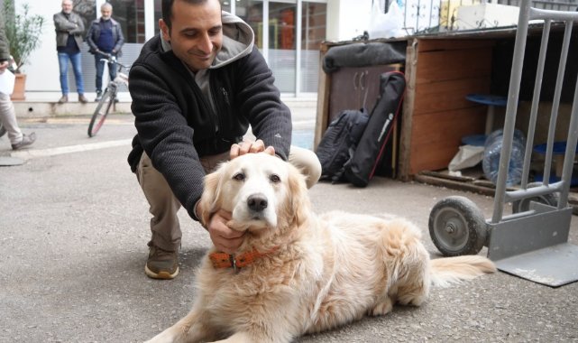 Köpeğin doktora havlaması sahibine 700 bin TL’ye patladı