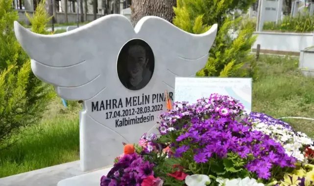 Mahra'nın babası: Kedi Eros davası gündem oldu, 23 gün acı çeken kızım bu kadar konuşulmadı