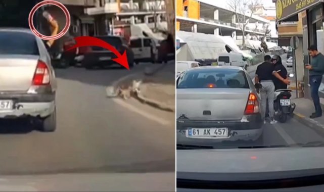 Seyir haindeki araçtan kedinin üzerine şişe atıldı