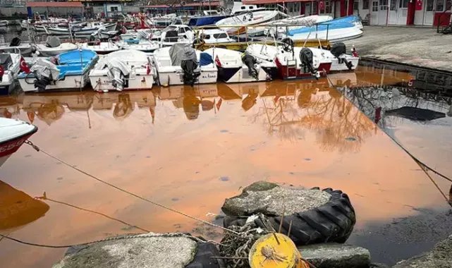 Tekirdağ sahilinde denizin rengi turuncu oldu