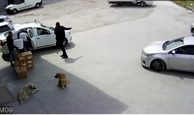Kargo firması şubesine operasyonda 120 binden fazla hap ele geçirildi