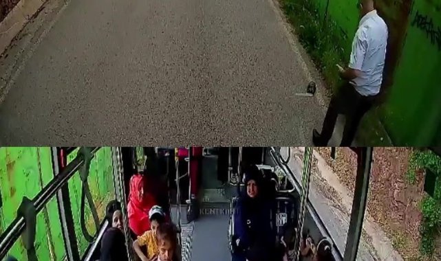 Otobüs şoförü kaplumbağayı ezilmekten kurtardı