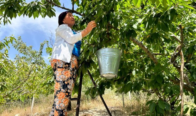 Bornova Belediyesi'nden çiftçiye gübre desteği