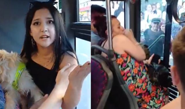 Köpekle otobüse bindi, tepki gösteren yolcularla tartıştı