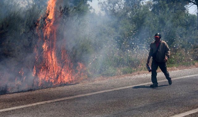 Selçuk'ta bir yangın daha: İlk müdahaleyi vatandaşlar yaptı