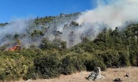 Armutlu'da 15 yıldır yanmayan ormanlar, 8 günde 3 kez yandı