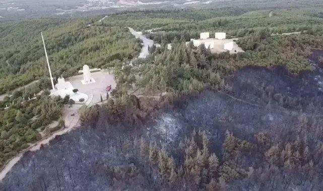 Çanakkale'deki orman yangını kontrol altında