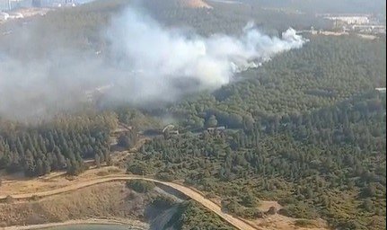 İzmir'de orman yangını