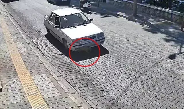 Yavru köpek ölümden döndü