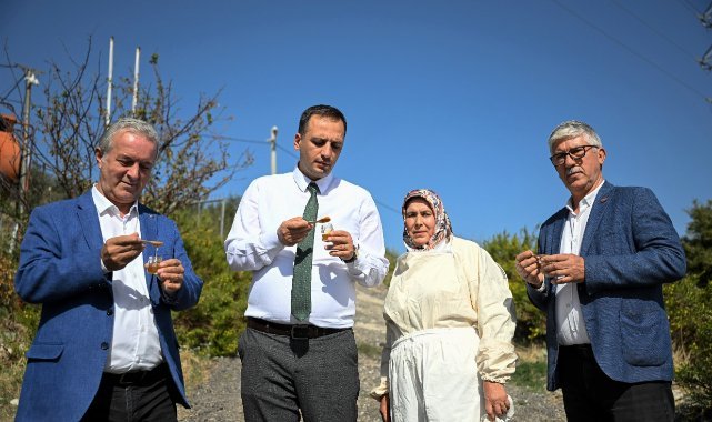 Bornova’da bal gibi proje