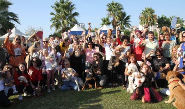 Can dostlar ‘Patifest’te yeni yuvalara kavuşacak