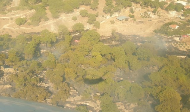 İzmir'de tarım arazisinde çıkıp ormana sıçrayan yangın söndürüldü