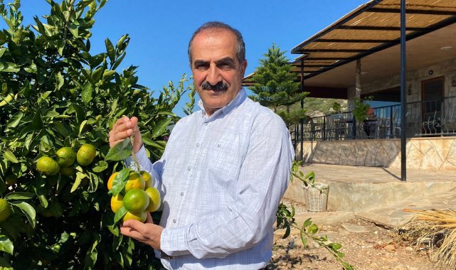 Satsuma mandalinanın ihracat yolculuğu 18 Ekim’de başlıyor