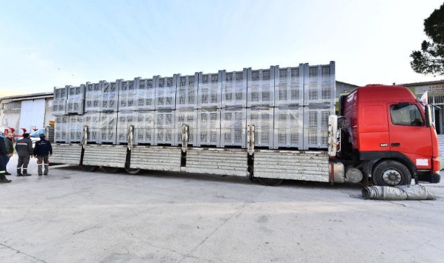 Zeytinde kalite kaybının önüne geçiliyor: İzmir’in zeytinleri çuvallardan kurtulup kasalarda toplanacak