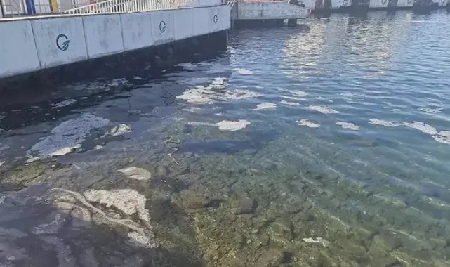 Çanakkale Boğazı'nda müsilaj tespit edildi