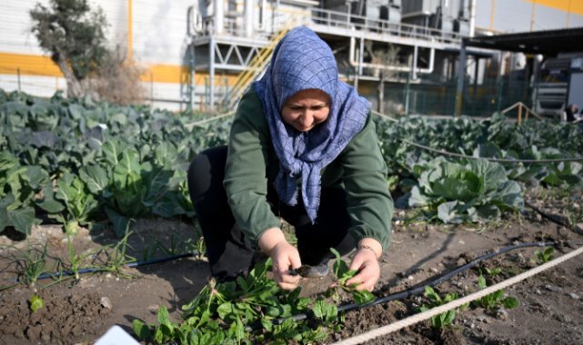 Kadın eli değdi, Kent Bostanları bereket saçtı