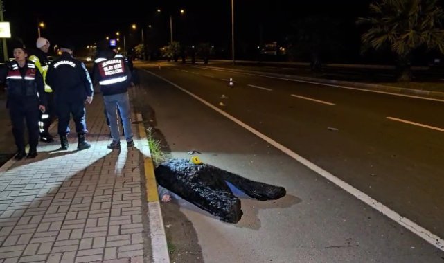 Kardeşini korumak isteyen ağabey, otomobilin çarpmasıyla hayatını kaybetti