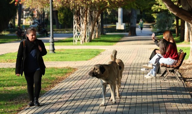 Adana’da termometreler 30 dereceyi gösterdi