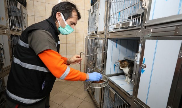 Gaziemir Belediyesi’nden 6 bin 222 can dosta şefkat eli