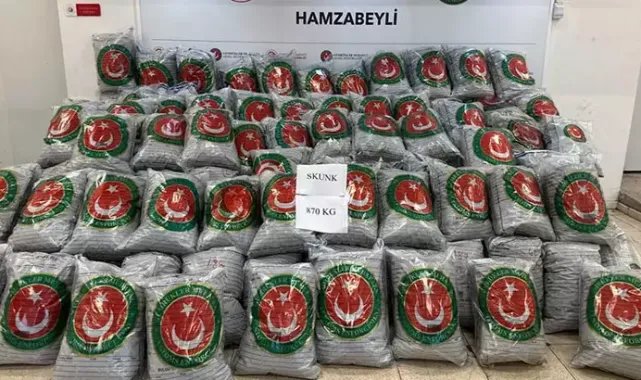 Hamzabeyli'den giriş yapan TIR'da 870 kilo skunk ele geçirildi