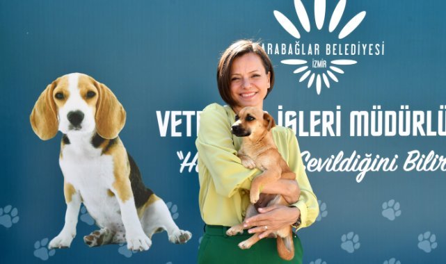 Karabağlar Belediyesi’nden sokak hayvanlarına modern hizmet
