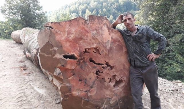 Kestiği ağaç üzerine devrilen orman işçisi hayatını kaybetti