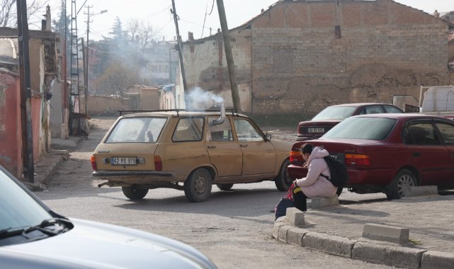Bu tavuklar gerçekten ’geziyor’