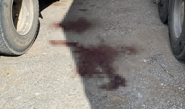 Eski sevgilisini ağır yaralayan zanlı tutuklandı