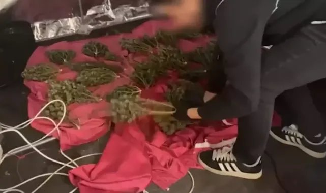 İstanbul’da düzenlenen 'Narkokapan 14: Şehit Bora Barış Güler' operasyonunda 153 şüpheli yakalandı