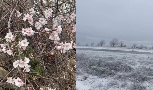 Tekirdağ’da ilginç doğa görüntüsü: Bir yanda bahar, bir yanda kış