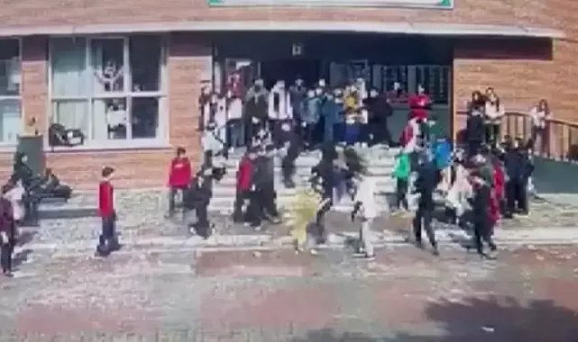 Ümraniye'de okul bahçesinde 5 öğrenci ve 1 öğretmeni ısıran köpeğin sahibi gözaltına alındı