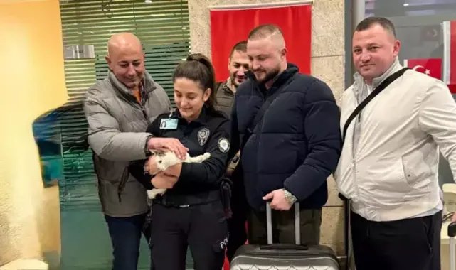 Yurt dışına çıkan sahibinin, otoparktaki aracında kilitli bıraktığı kedi kurtarıldı