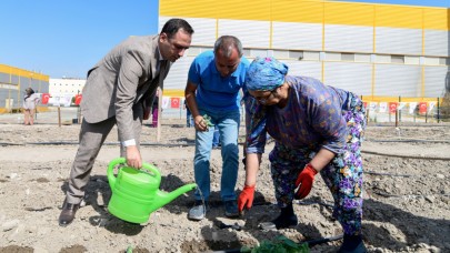 Bornova’da Yeşil Dönüşüm