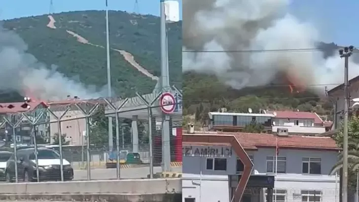 Kocaeli'de makilik yangını