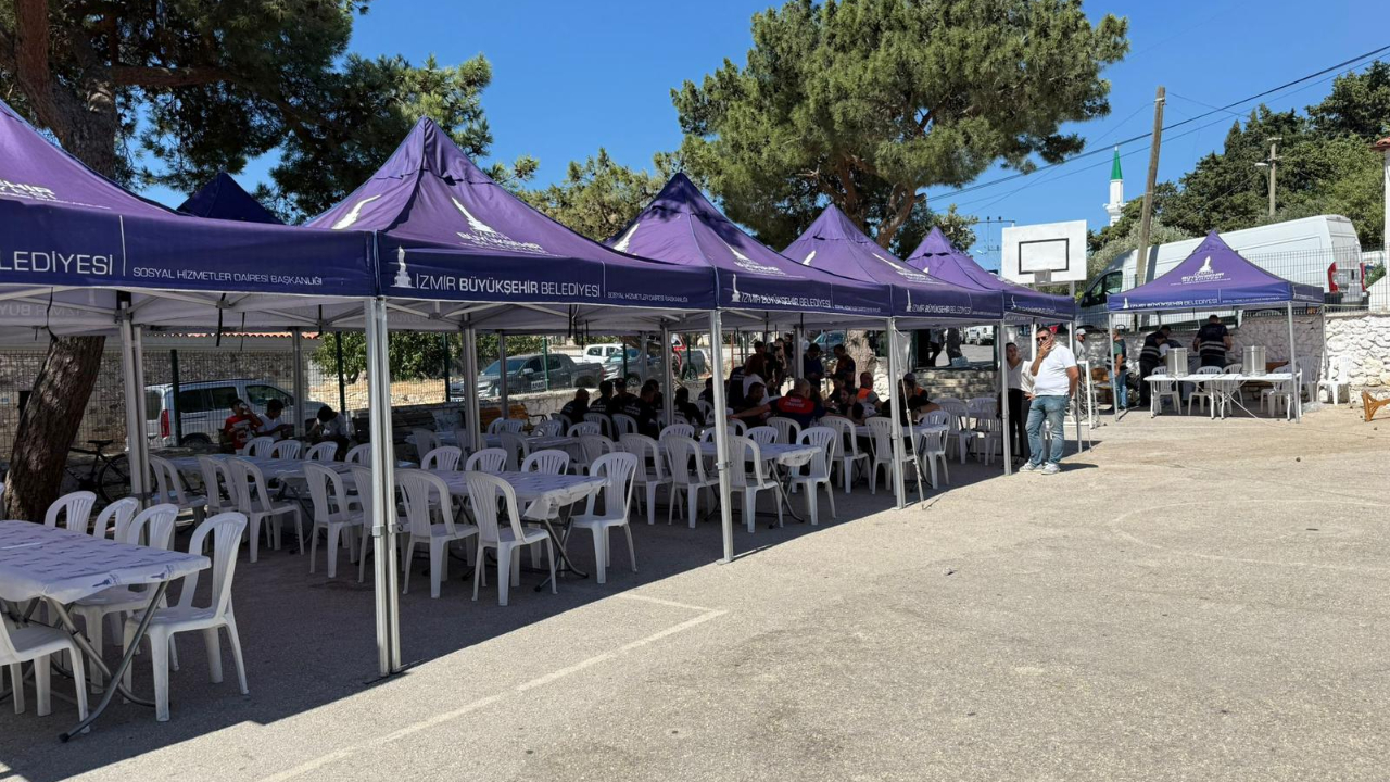 Büyükşehir yangının yaralarını sarmak için tüm gücüyle sahada