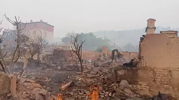 Sakarya'da orman yangını 2'nci gününde